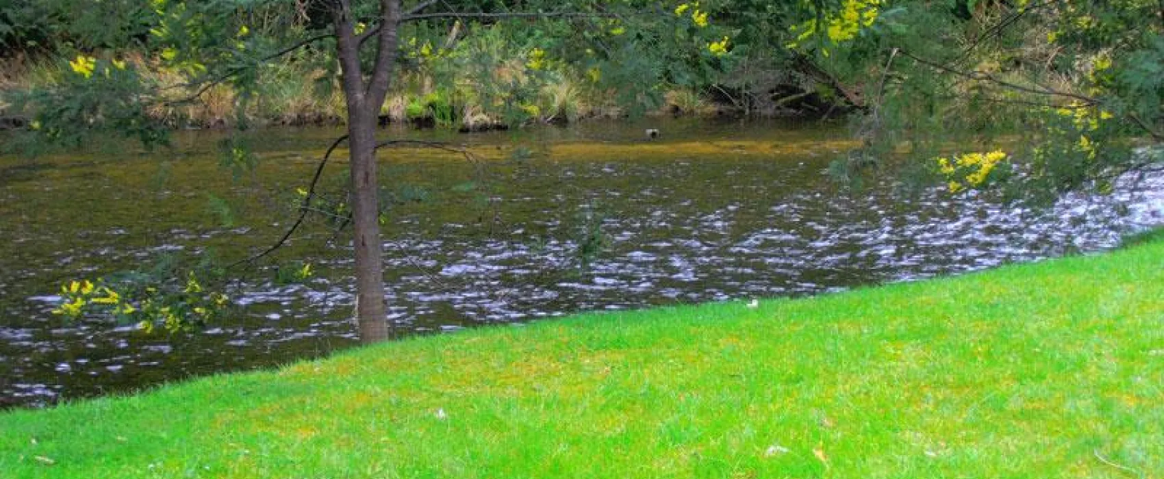 Myrtle Park Campground