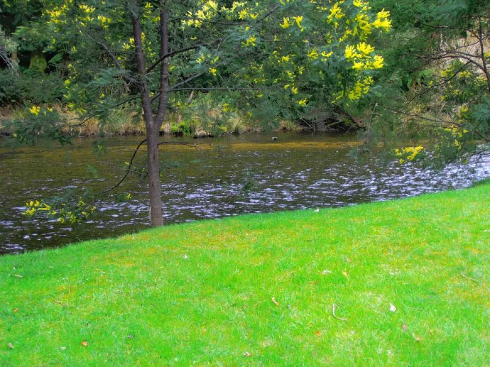 Myrtle Park Campground