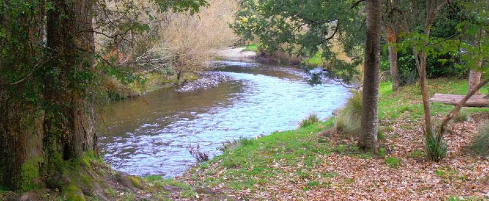 Myrtle Park Campground