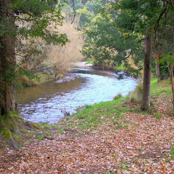 Myrtle Park Campground