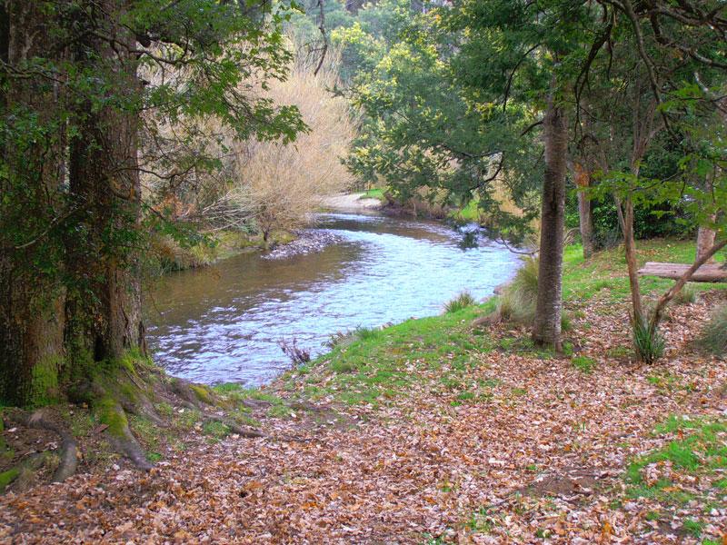 Myrtle Park Campground photo 2