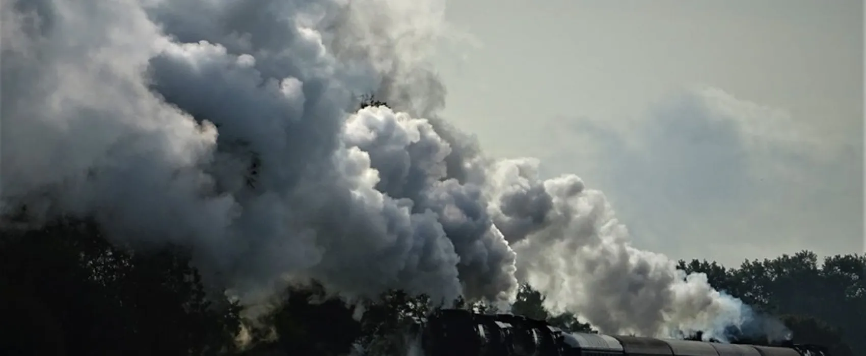 Minicamping Molenallee