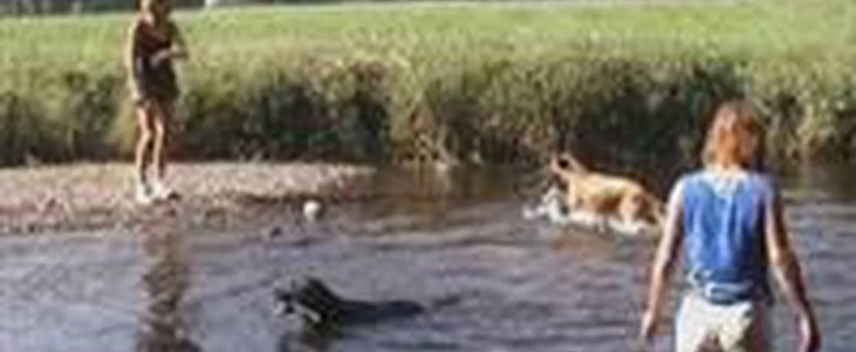 Camping à la Ferme La Tourelle