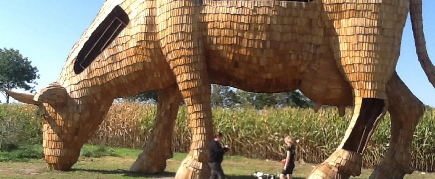 Mini-camping D'n Aanloop