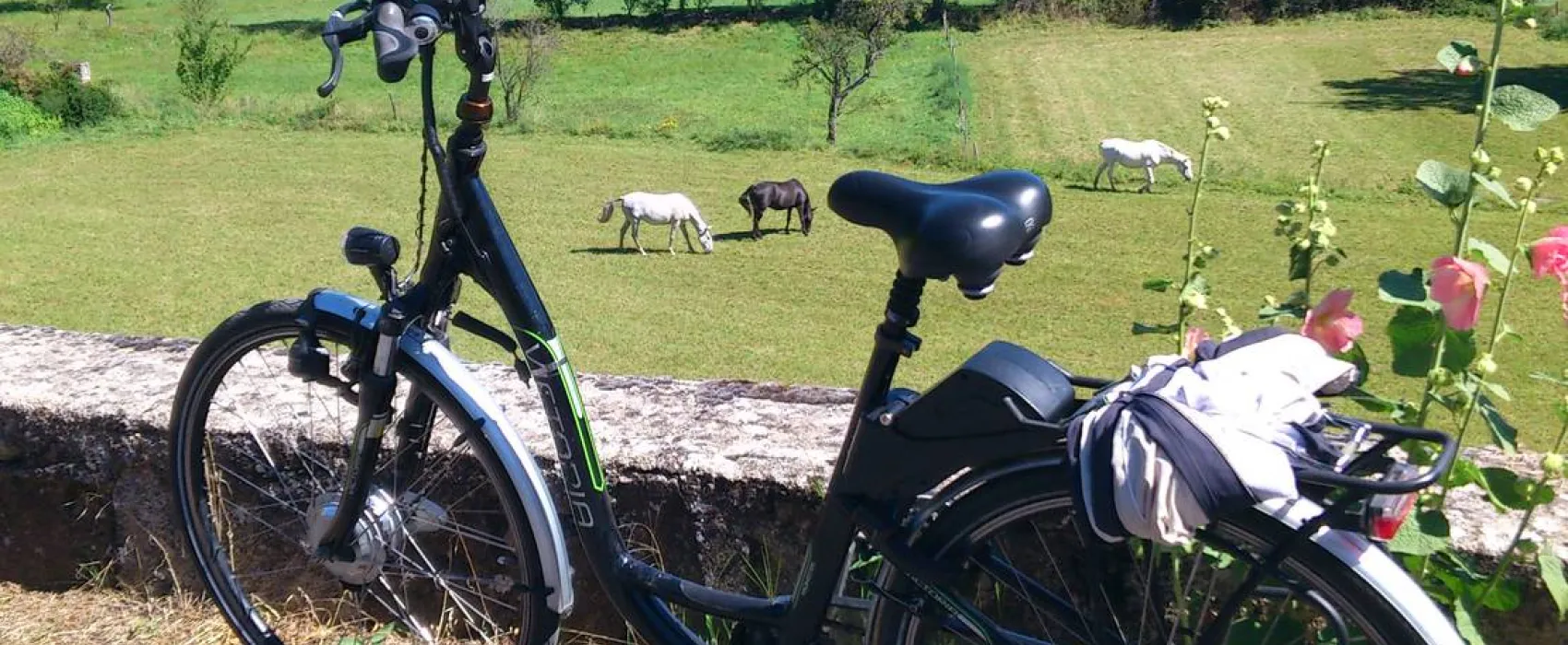 Camping Le Chante Merle