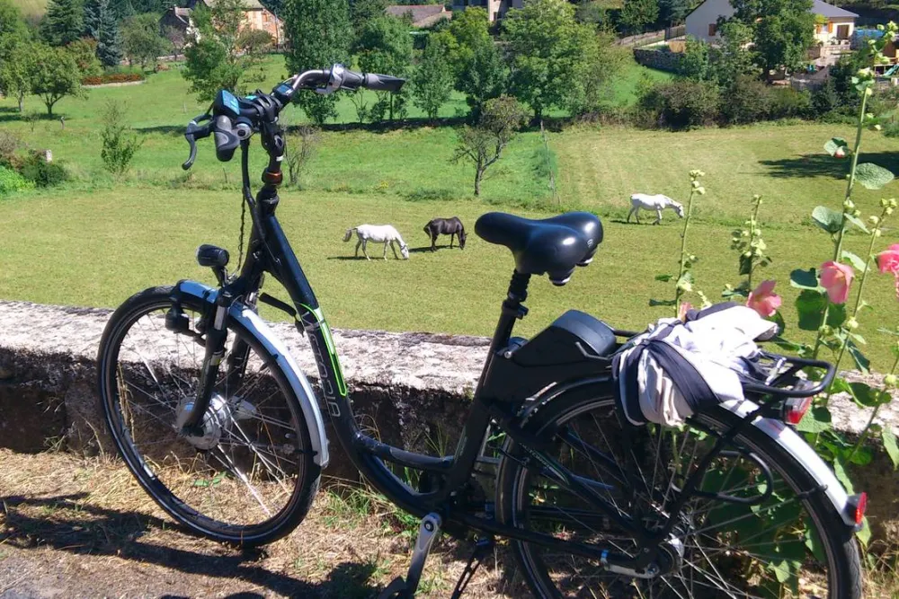 Camping Le Chante Merle