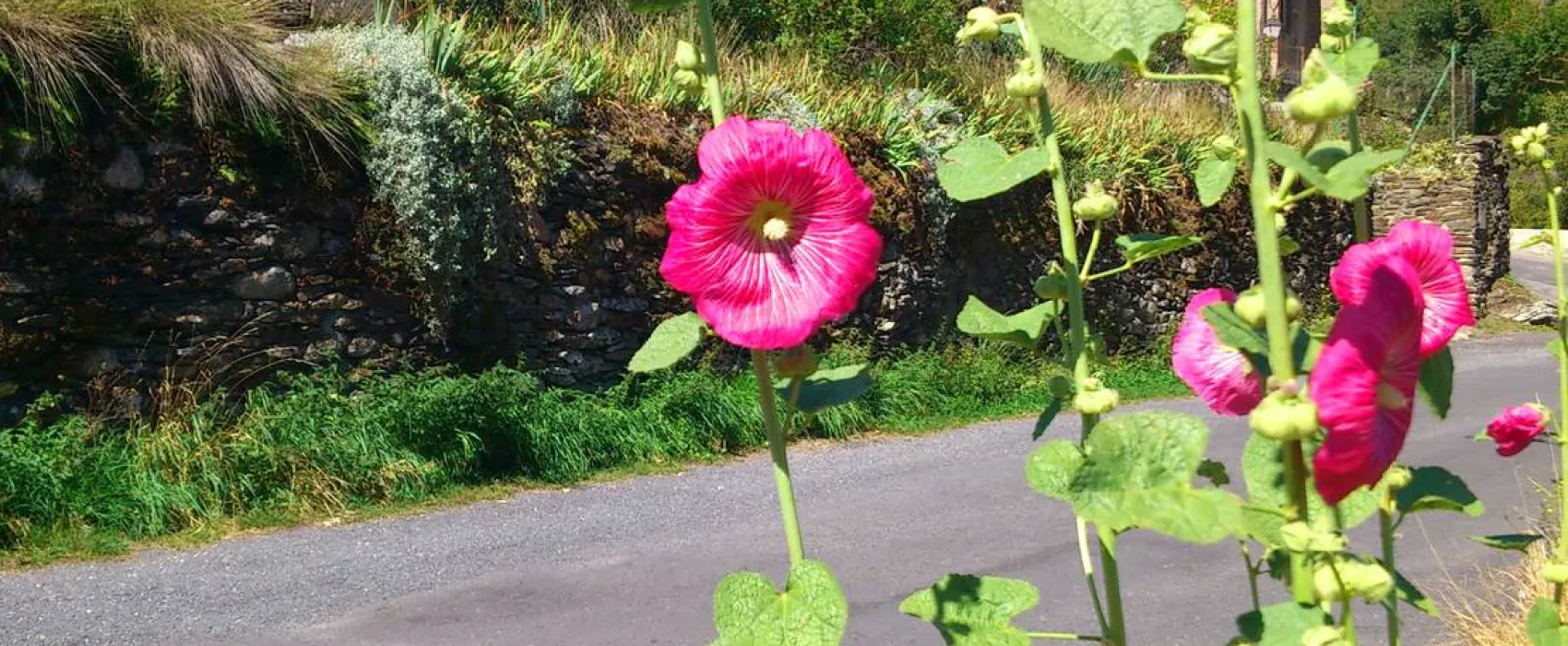 Camping Le Chante Merle