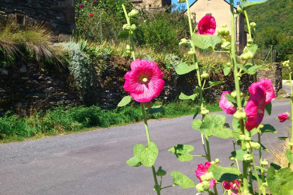 Camping Le Chante Merle