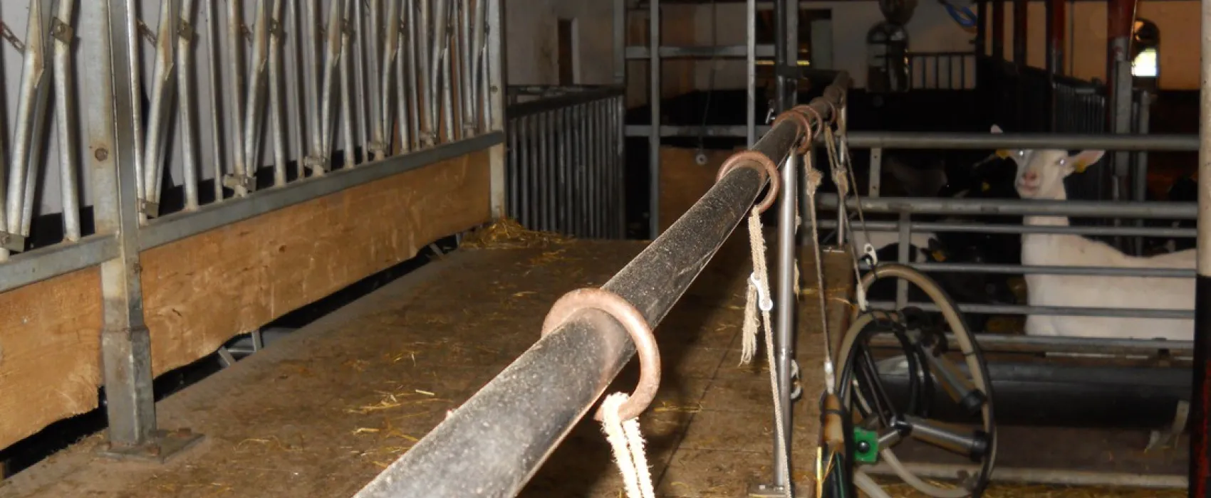 Boerderijcamping De Brömmels