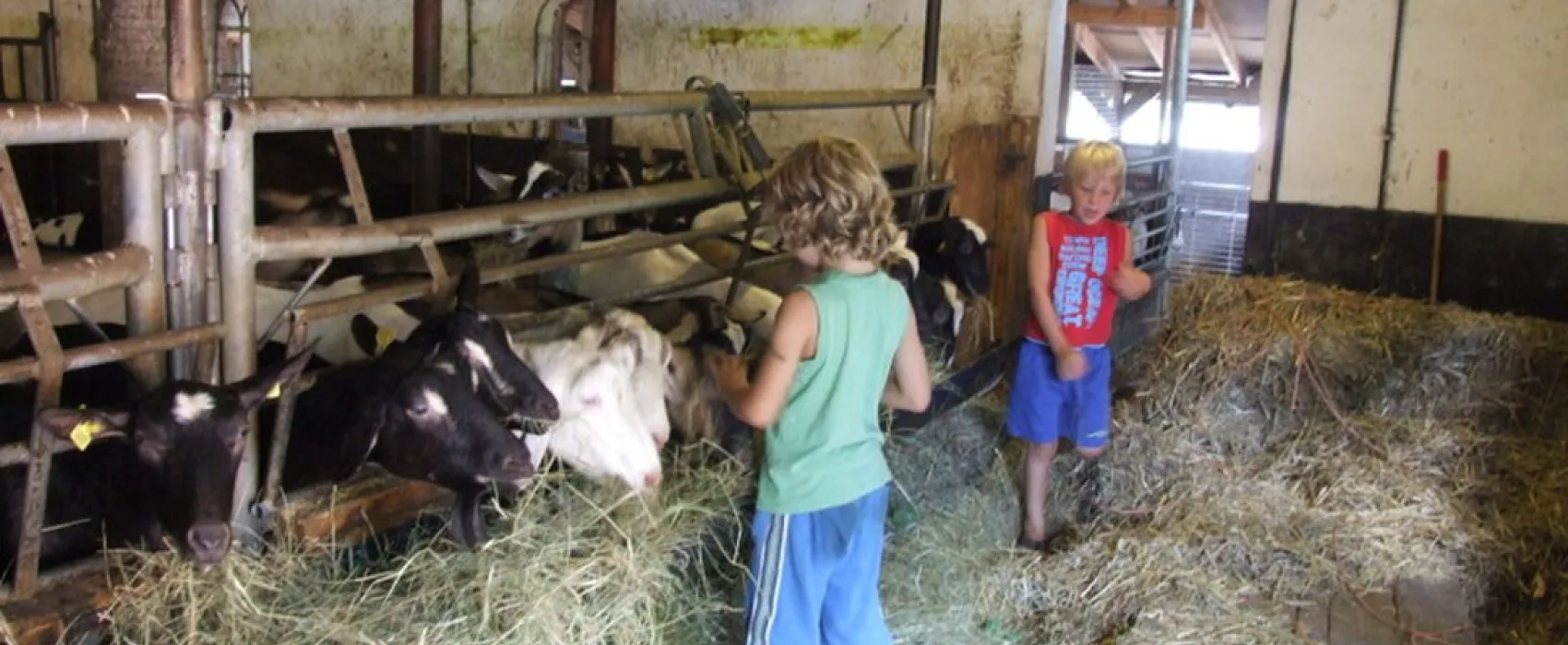 Boerderijcamping De Brömmels
