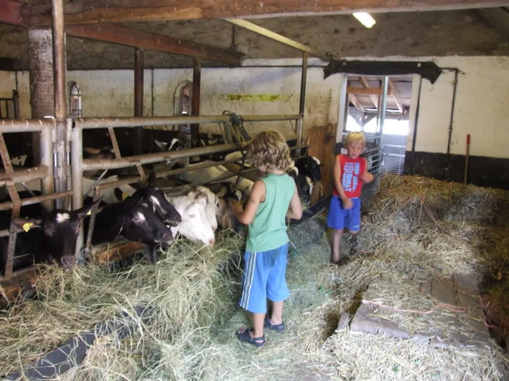 Boerderijcamping De Brömmels