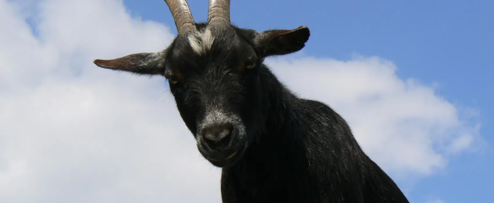 Minicamping Martinus Plak