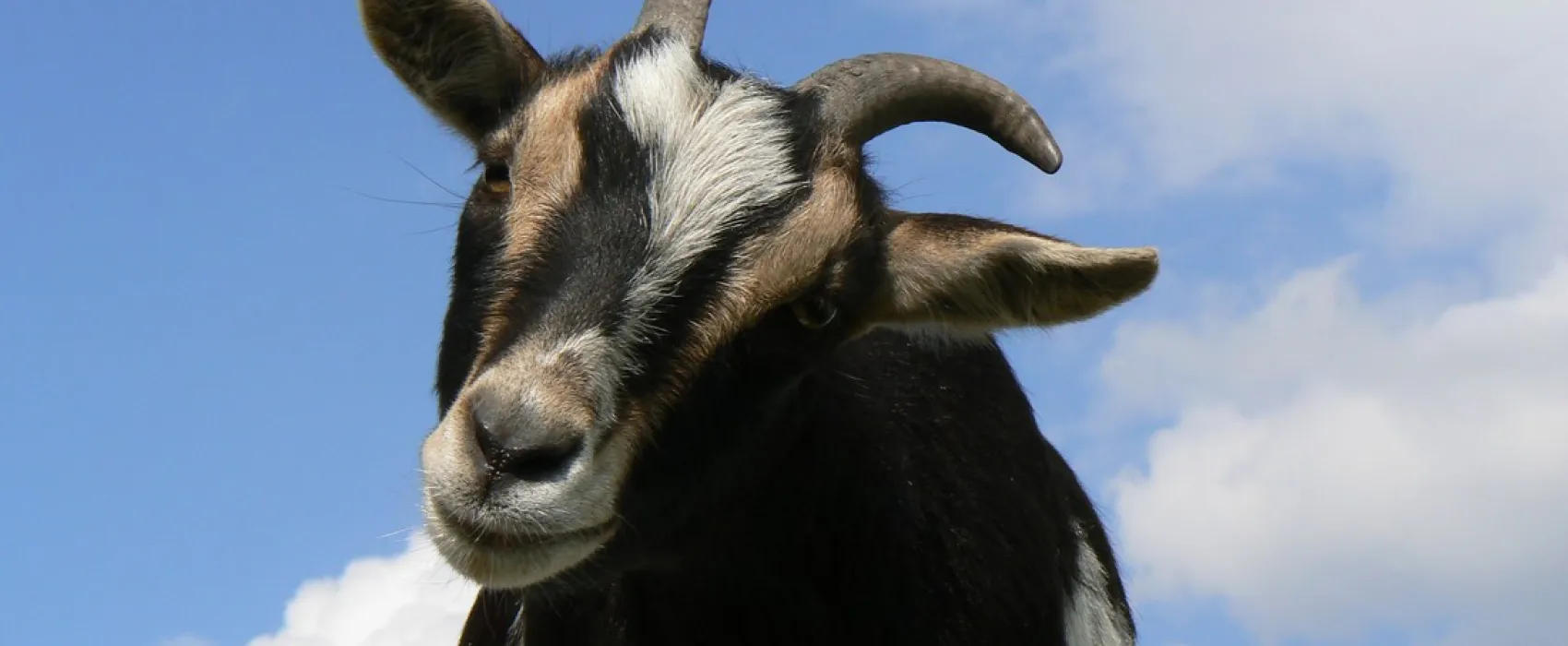 Minicamping Martinus Plak