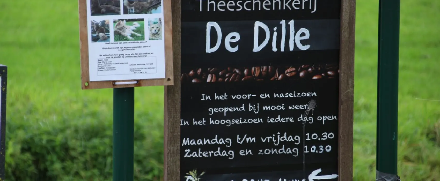 Theetuin en minicamping de Dille