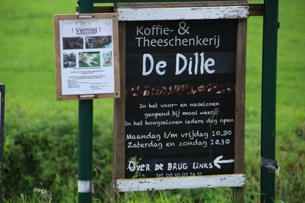 Theetuin en minicamping de Dille