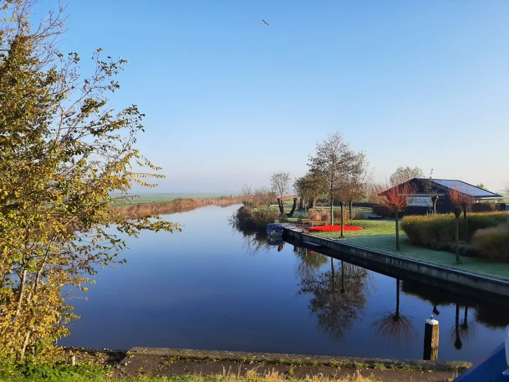 Theetuin en minicamping de Dille