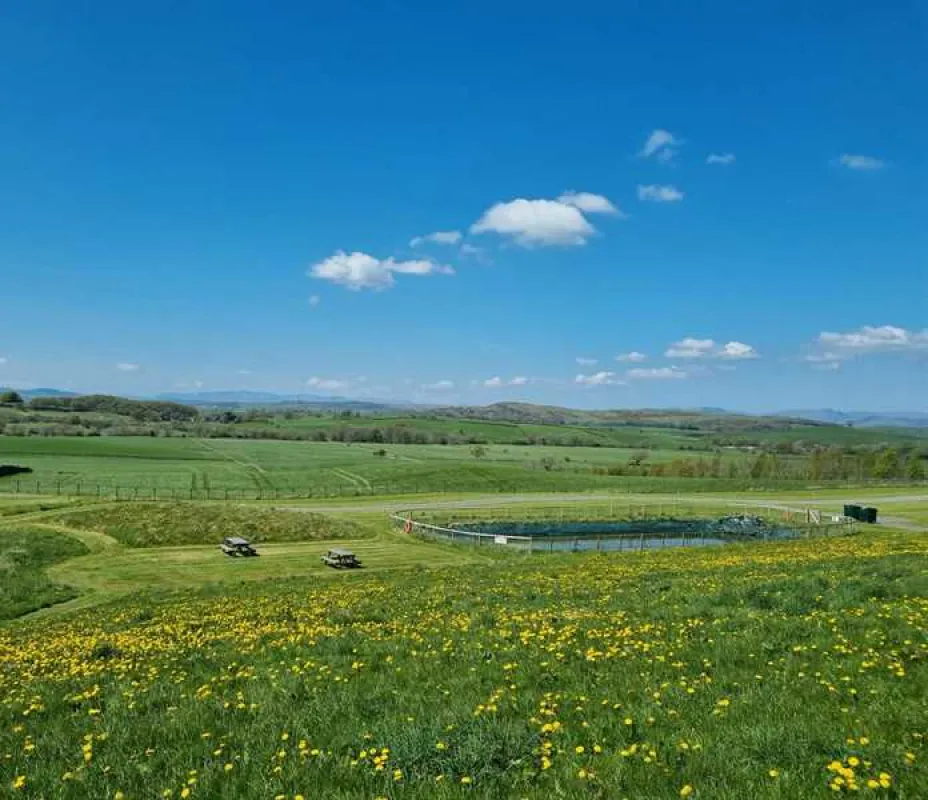 Holmescales Campsite