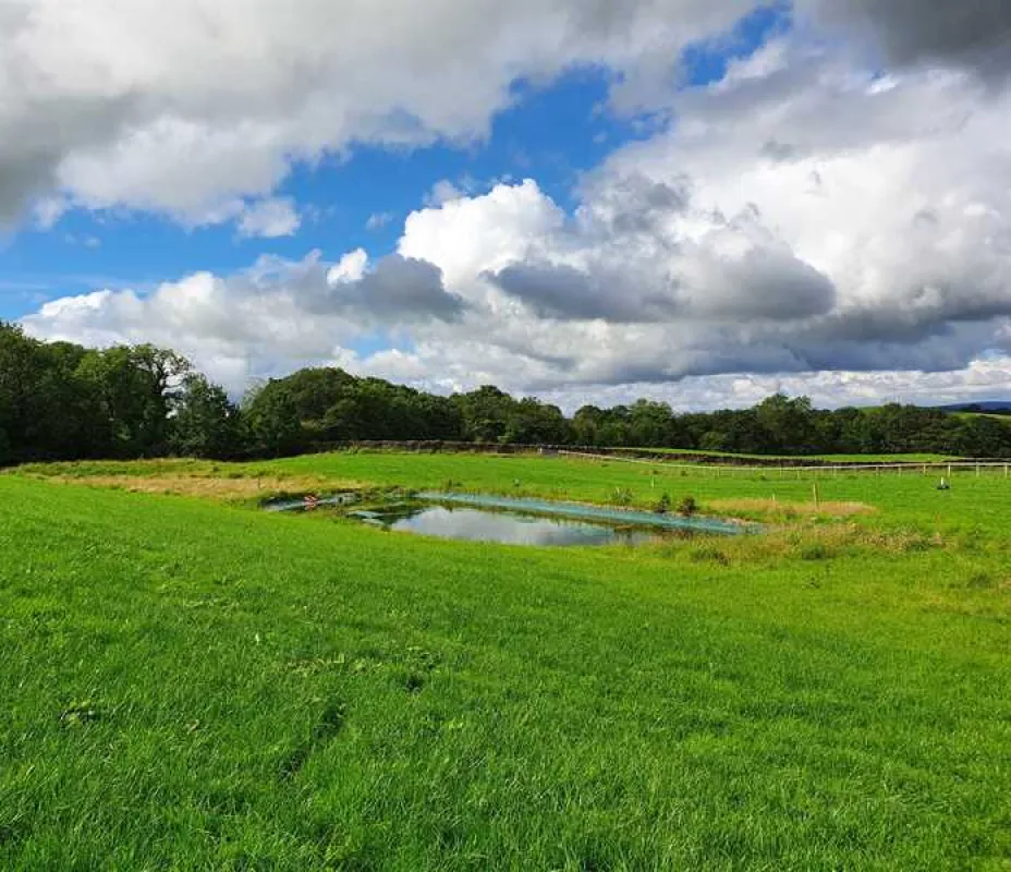 Holmescales Campsite