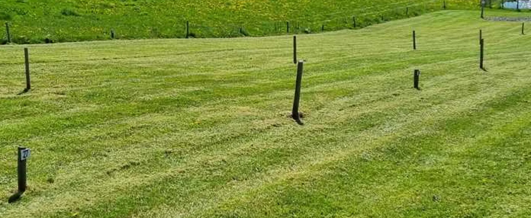 Holmescales Campsite