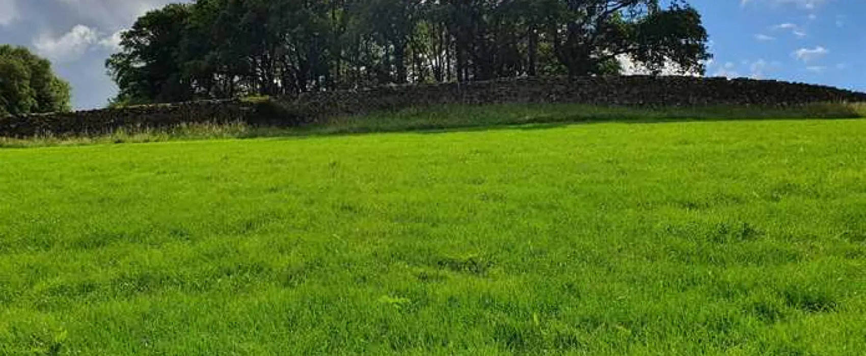 Holmescales Campsite