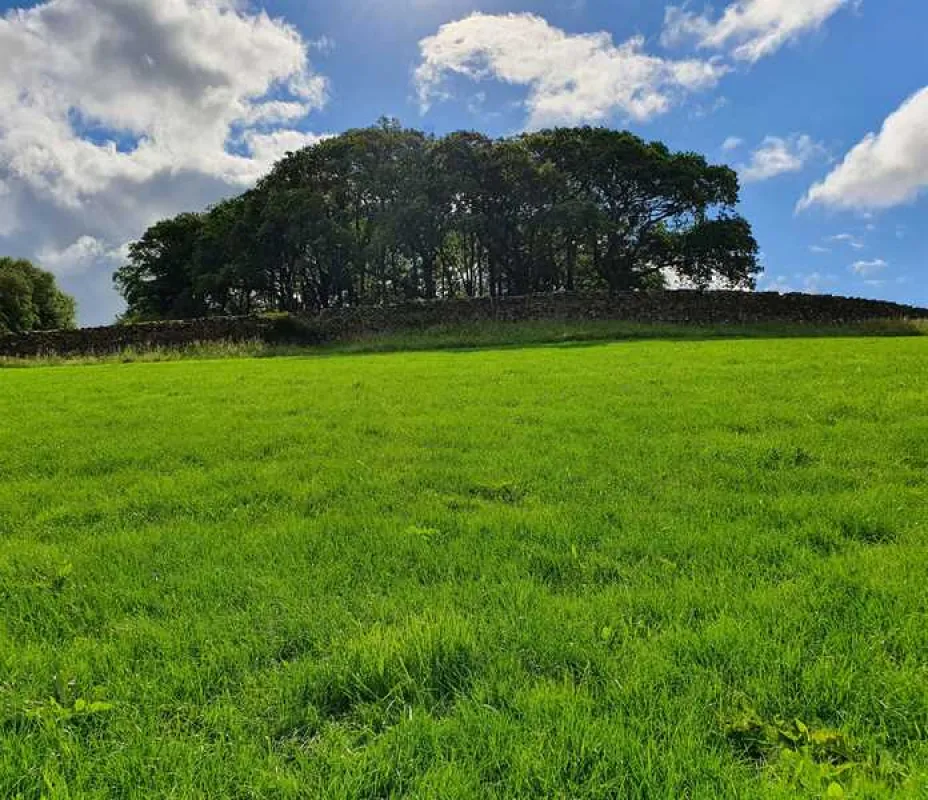 Holmescales Campsite