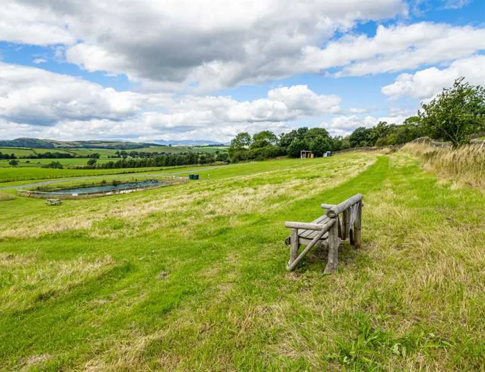 Holmescales Campsite
