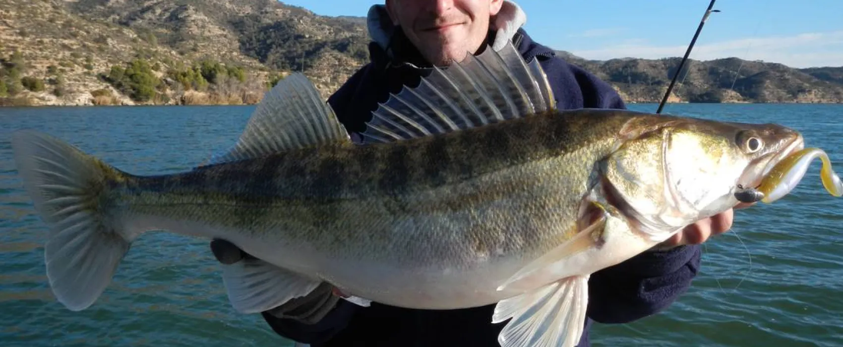 Camping Municipal De Fayón