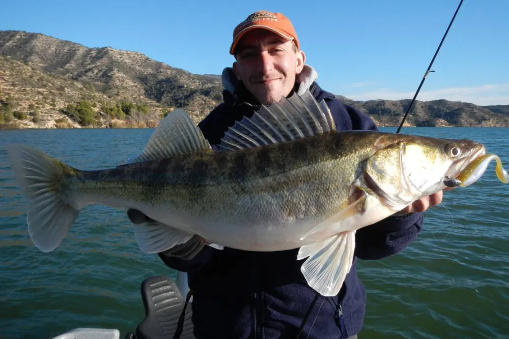 Camping Municipal De Fayón
