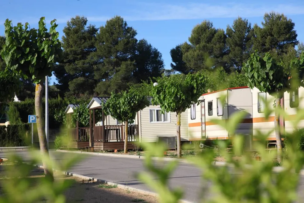 Camping Municipal De Fayón