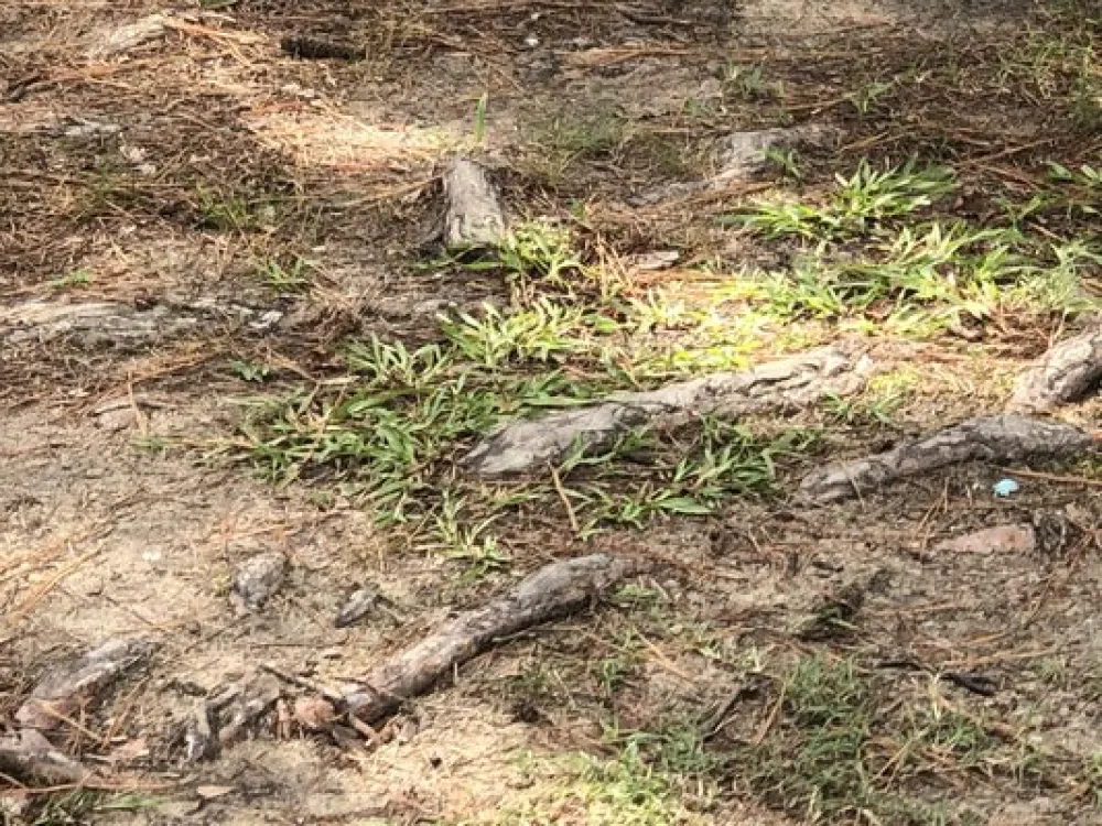 Twin Lakes RV & Camping Resort