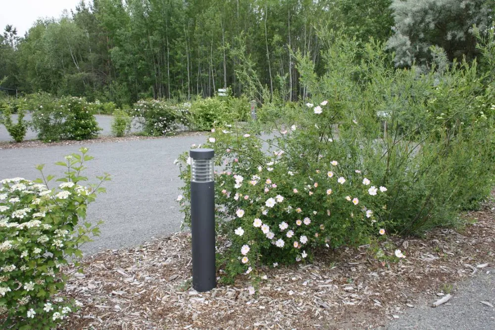 See- und Waldresort Gröbern