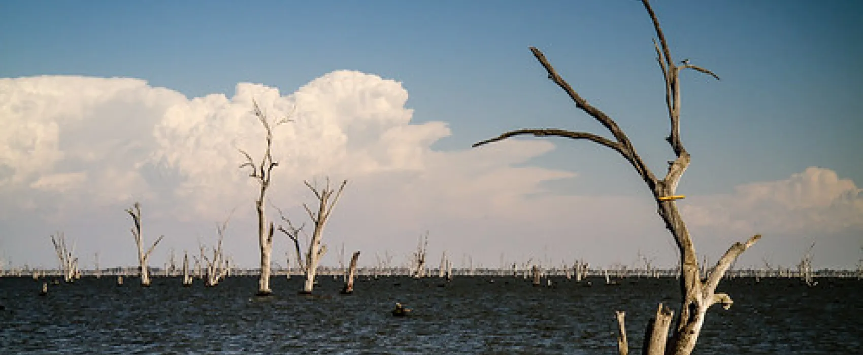 Kiffins Reserve Campground