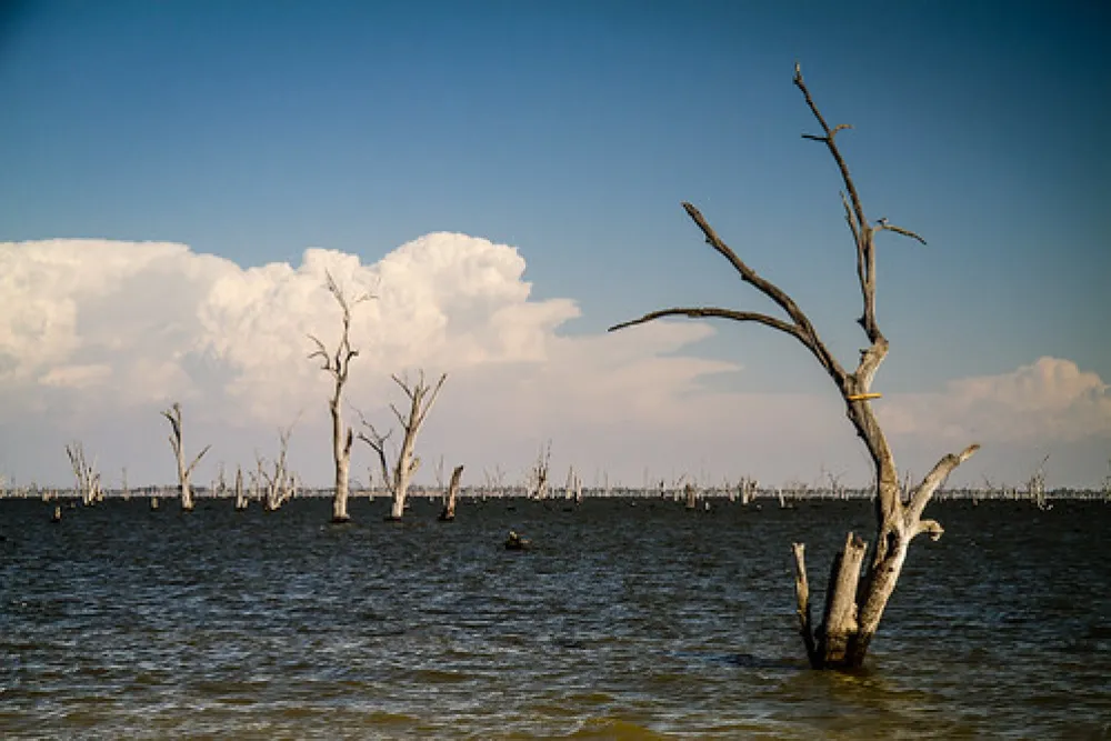 Kiffins Reserve Campground