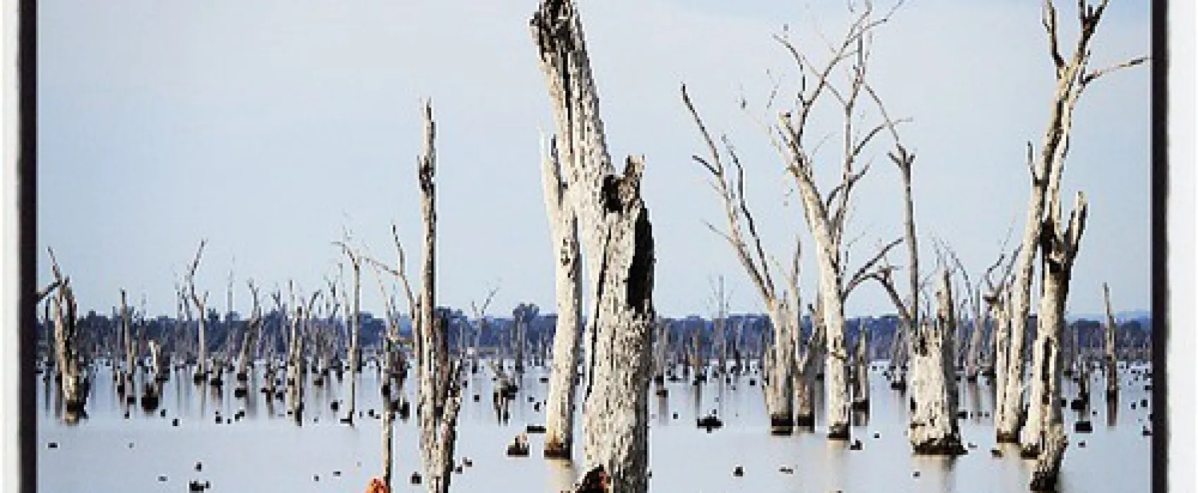 Kiffins Reserve Campground