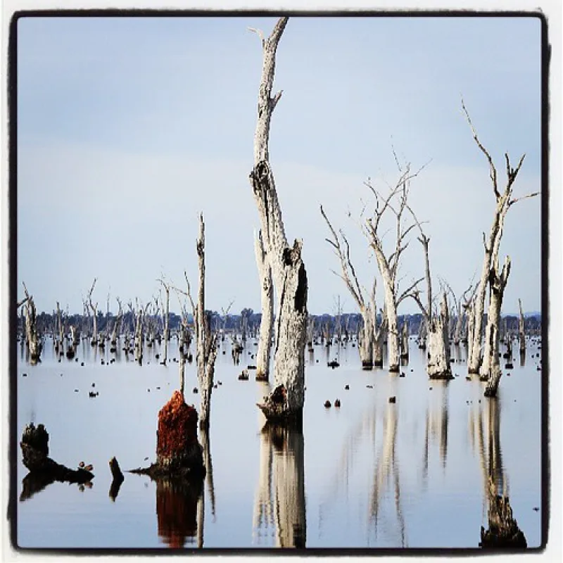 Kiffins Reserve Campground