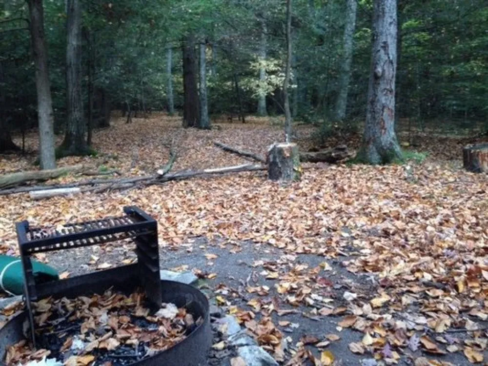 New Germany State Park