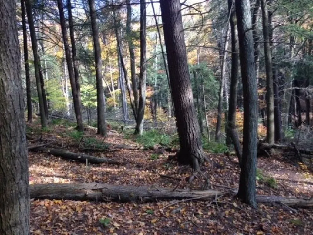 New Germany State Park