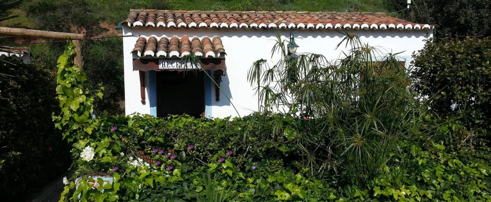 Vale da Carrasqueira