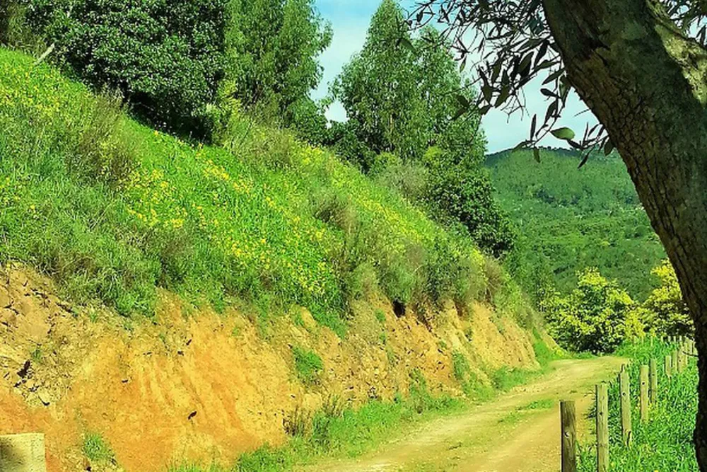 Vale da Carrasqueira