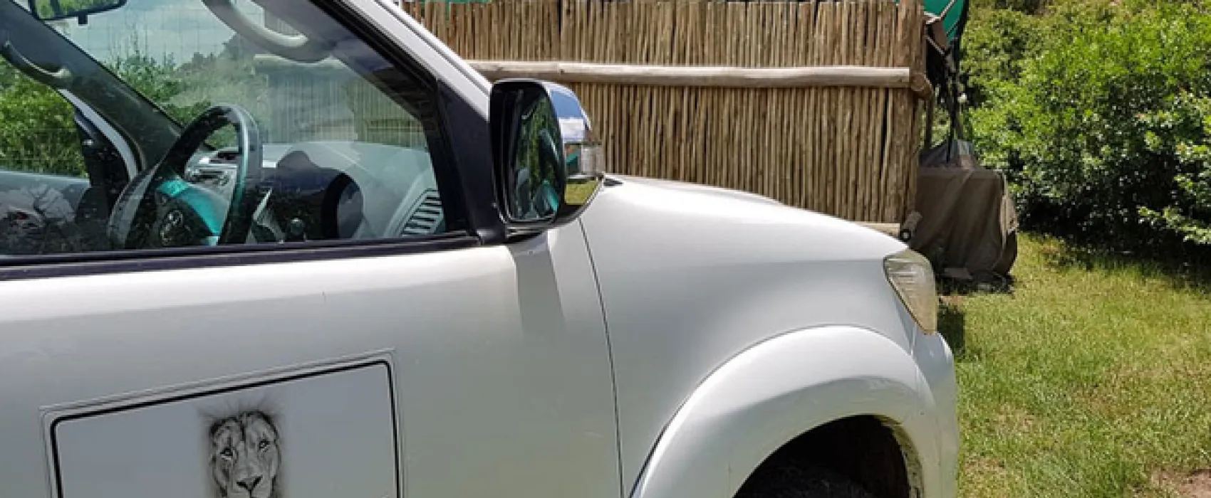 Love Lions Alive Sanctuary