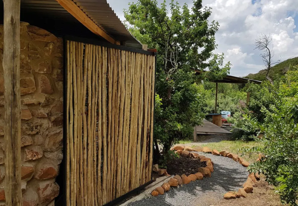 Love Lions Alive Sanctuary