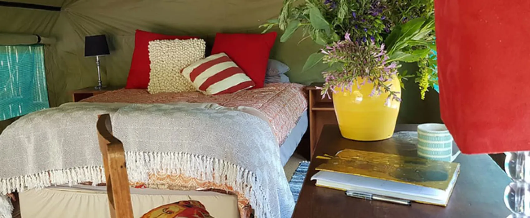 Love Lions Alive Sanctuary