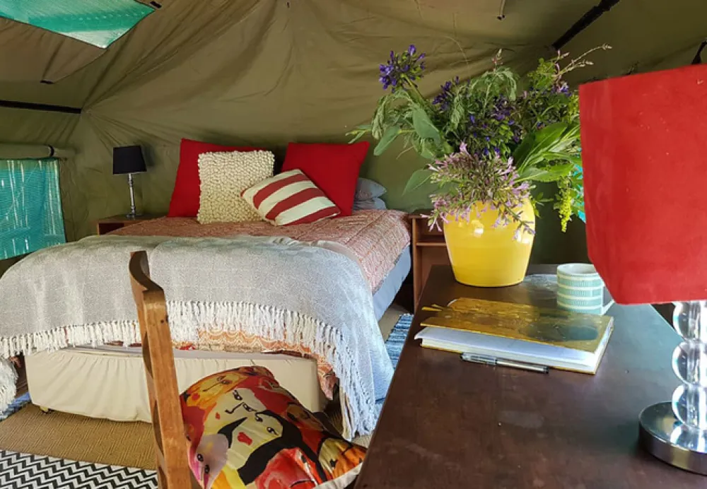 Love Lions Alive Sanctuary