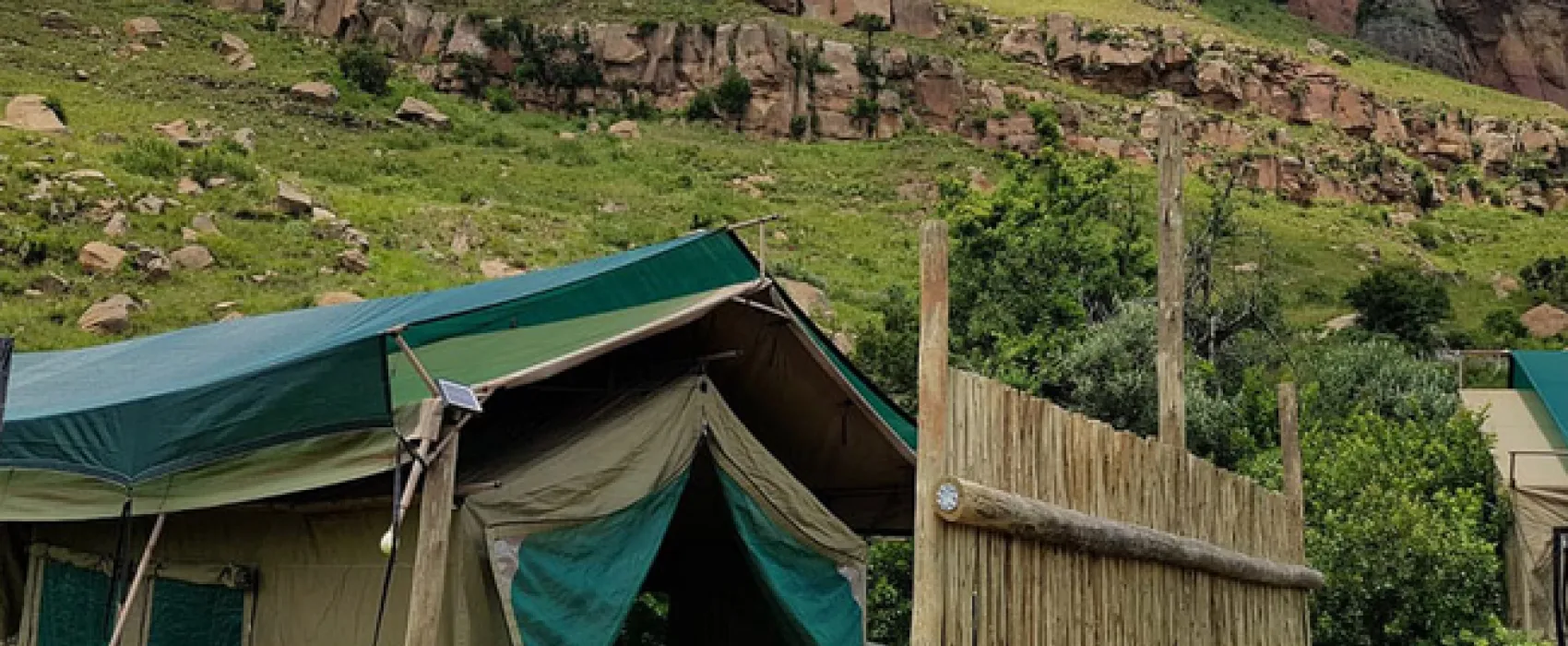 Love Lions Alive Sanctuary