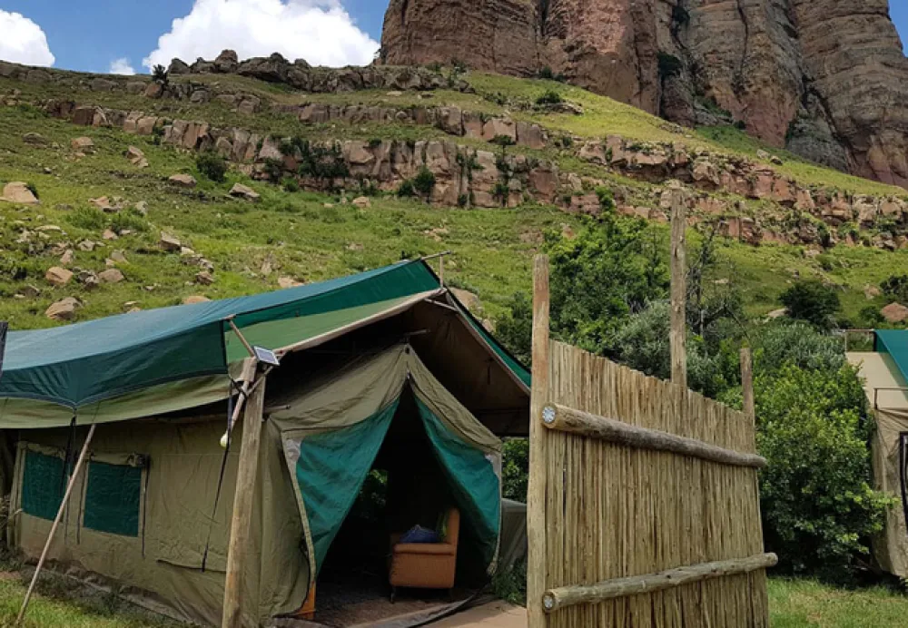 Love Lions Alive Sanctuary