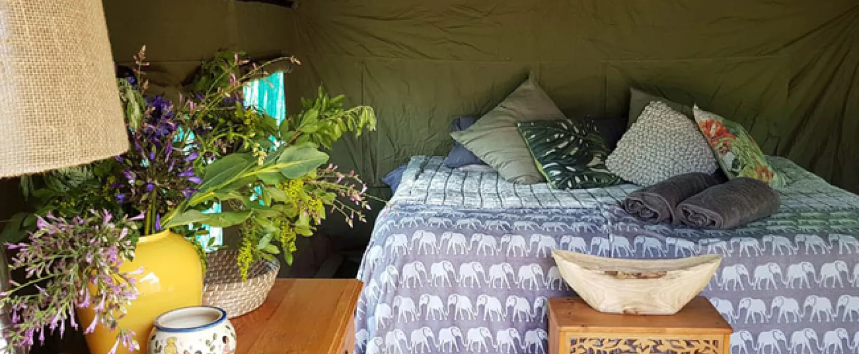 Love Lions Alive Sanctuary