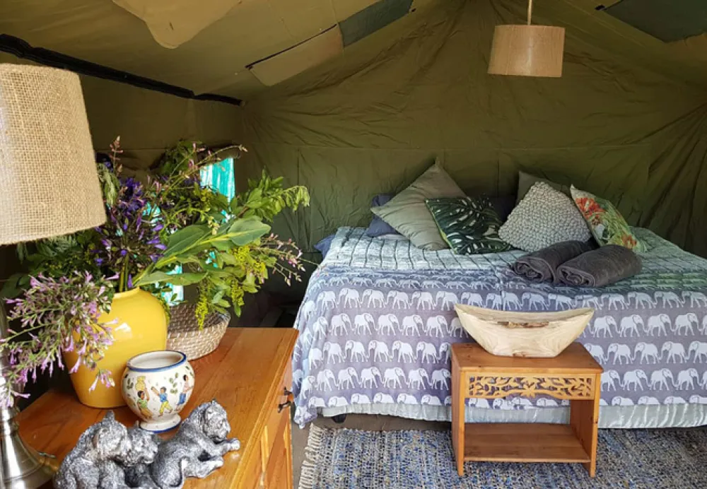 Love Lions Alive Sanctuary