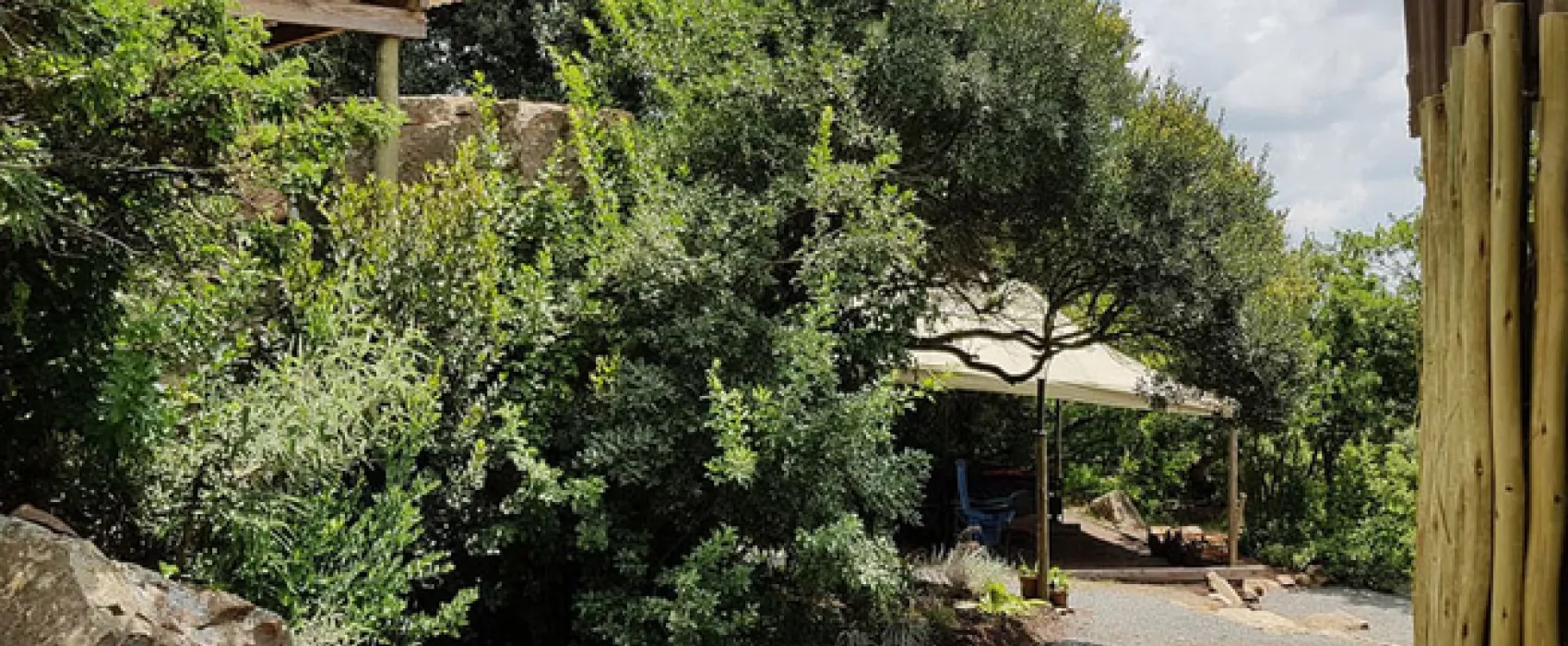 Love Lions Alive Sanctuary