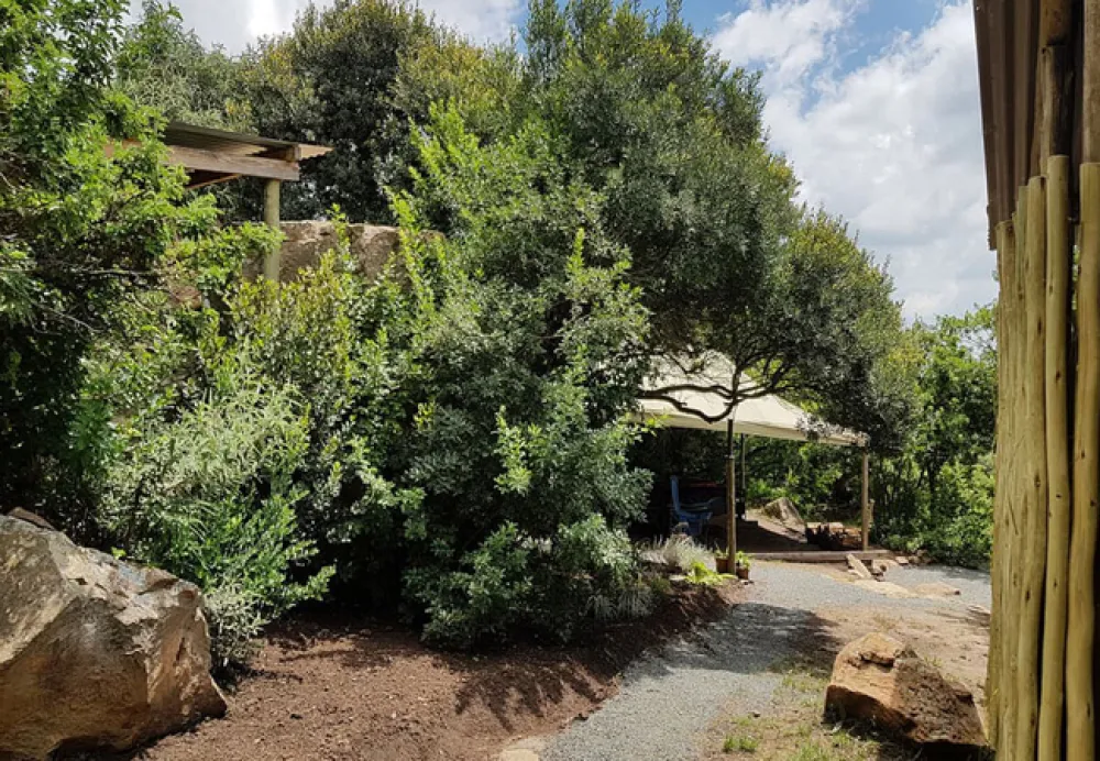 Love Lions Alive Sanctuary