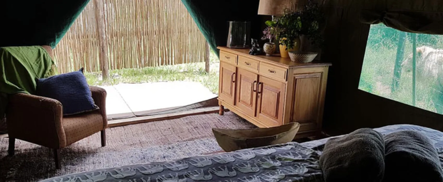 Love Lions Alive Sanctuary